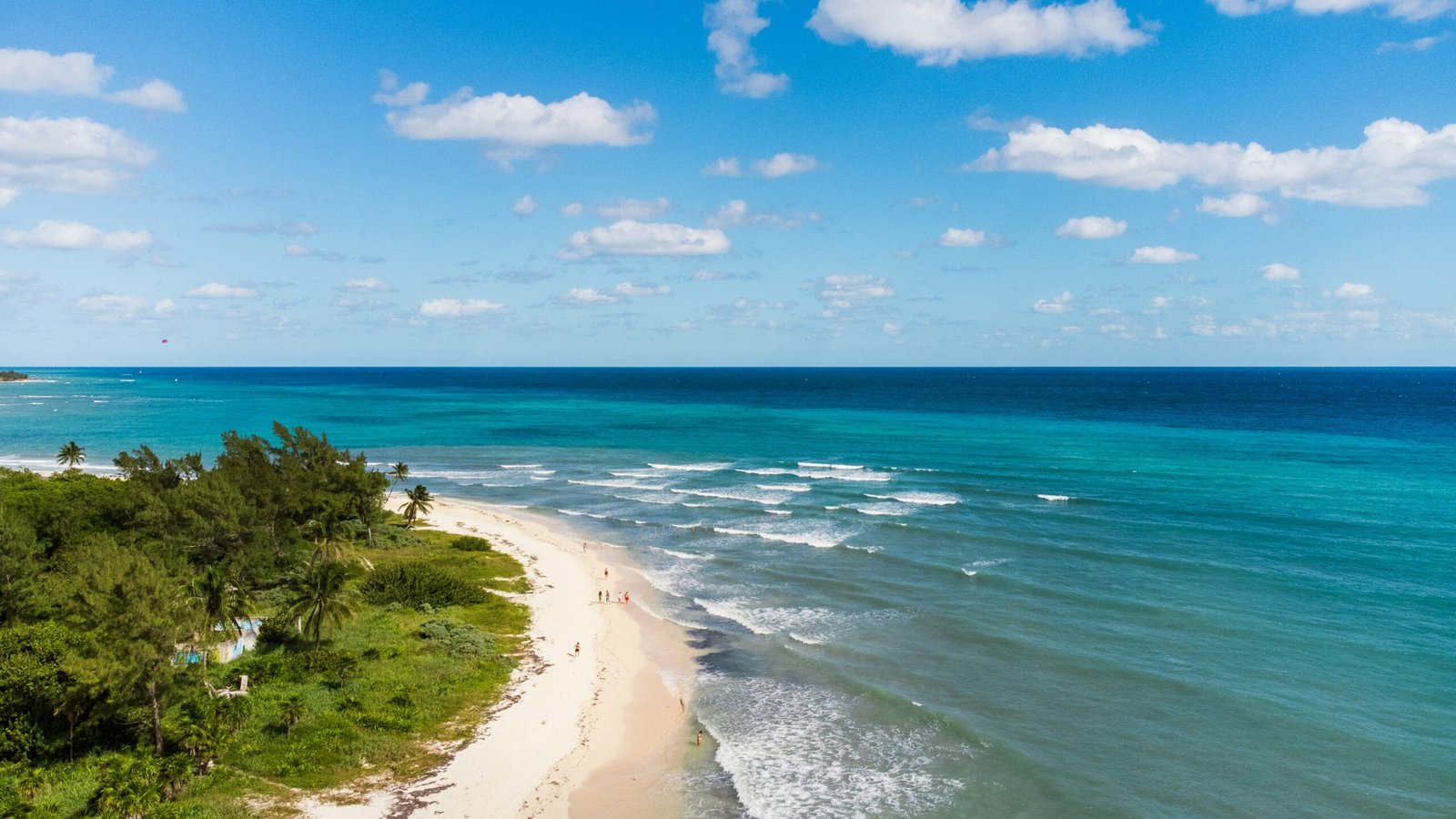 An aerial view of a beach and ocean